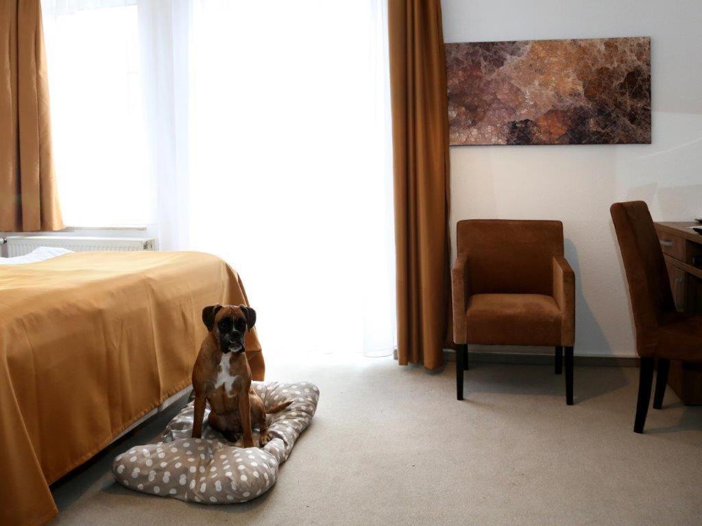 Arthotel Bad Pyrmont Kültér fotó
